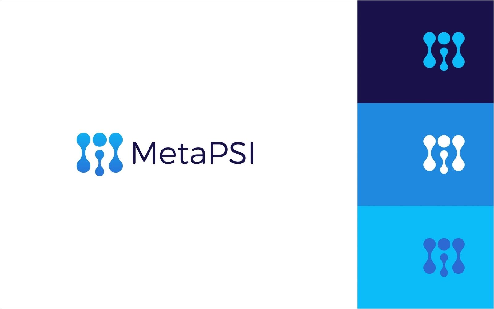 Meta PSI