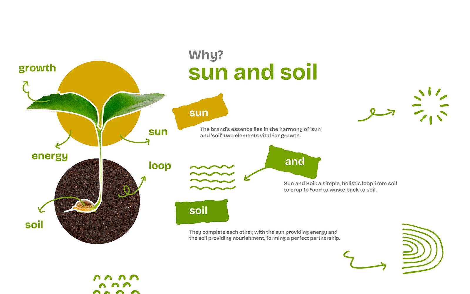 sun-and-soil