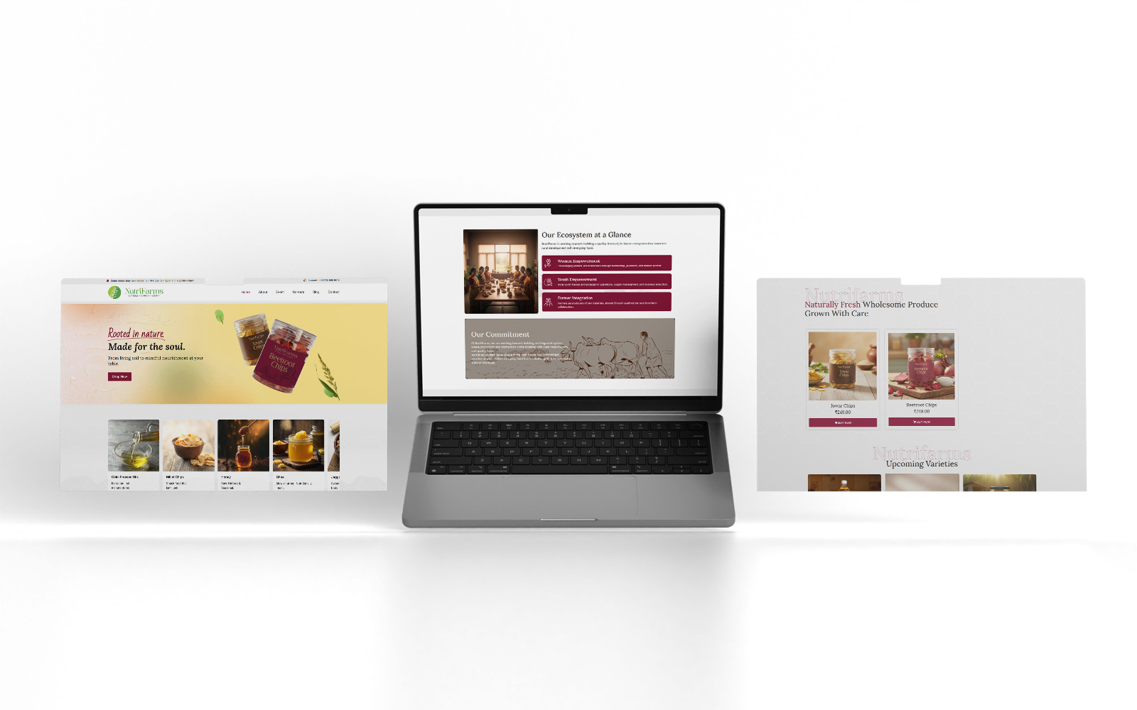 Coderize-mockup